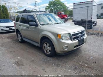  Salvage Ford Escape