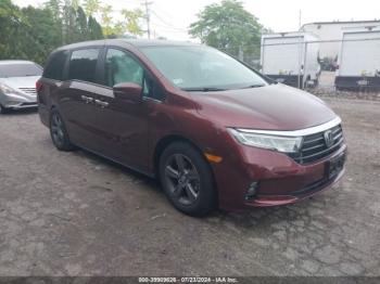  Salvage Honda Odyssey