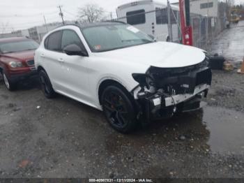  Salvage Alfa Romeo Stelvio