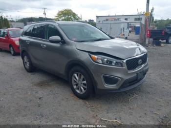  Salvage Kia Sorento