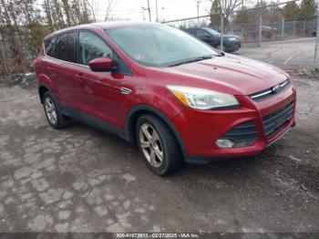  Salvage Ford Escape