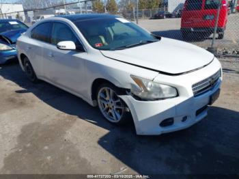  Salvage Nissan Maxima