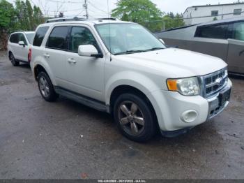  Salvage Ford Escape
