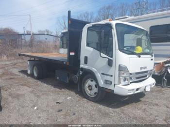  Salvage Isuzu Nrr