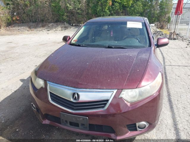 Acura TSX 2.4 Image 10